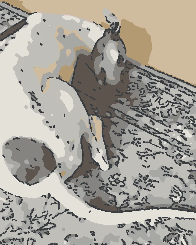 Switzzer curled up asleep on the studio rug